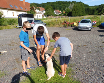 drei Kinder